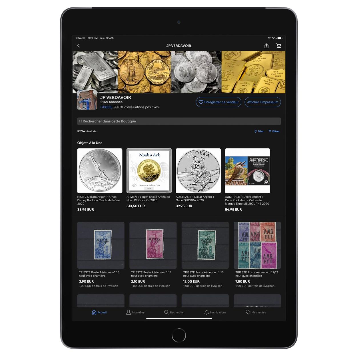 aperçu d'une boutique sur iPad