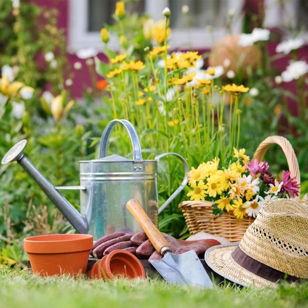 Frühling im Garten